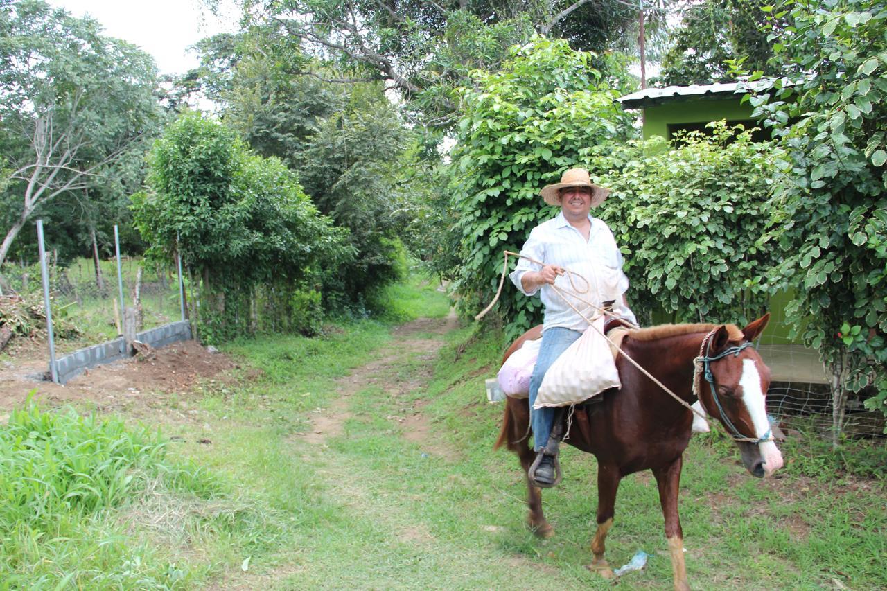 Hostal Mi Castillo Mariabe ภายนอก รูปภาพ